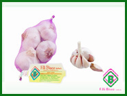 Produzione aglio - Fratelli Bisco