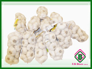 Produzione aglio - Fratelli Bisco