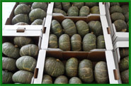 Produzione aglio - Fratelli Bisco