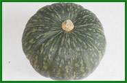 Produzione aglio - Fratelli Bisco