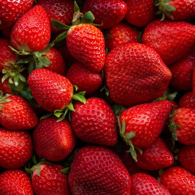 fragole