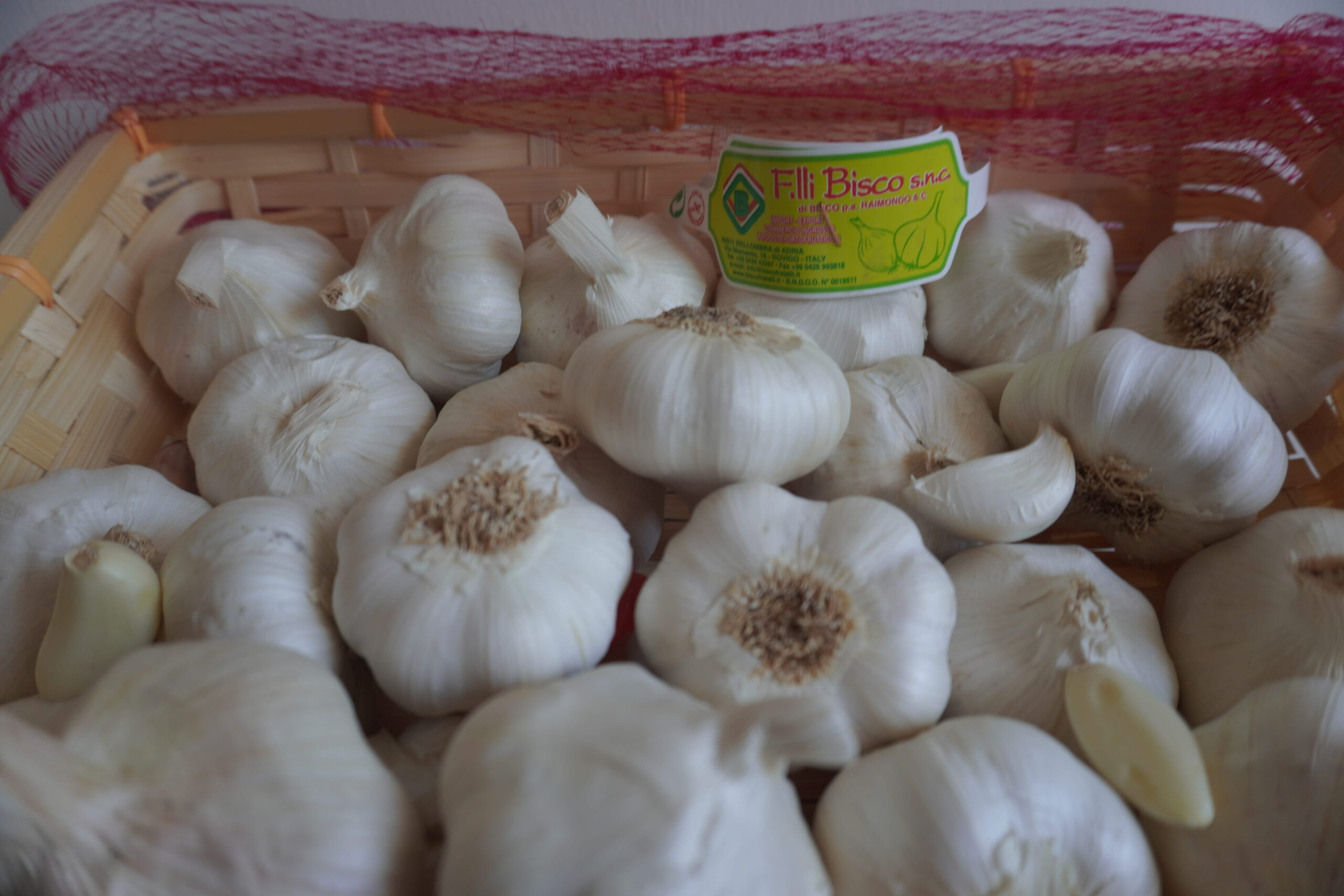 Bisco aglio bianco