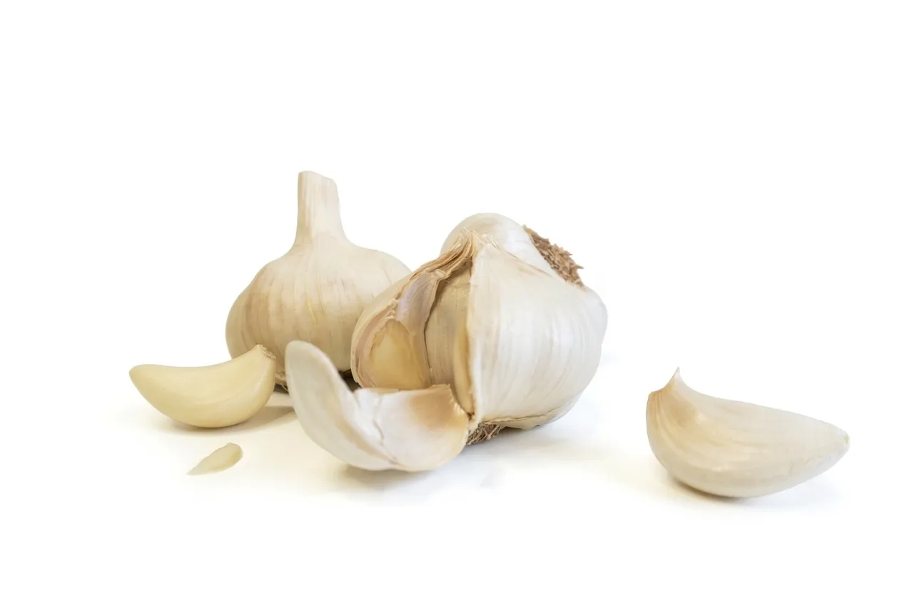 Aglio 2 aglio bianco aperto