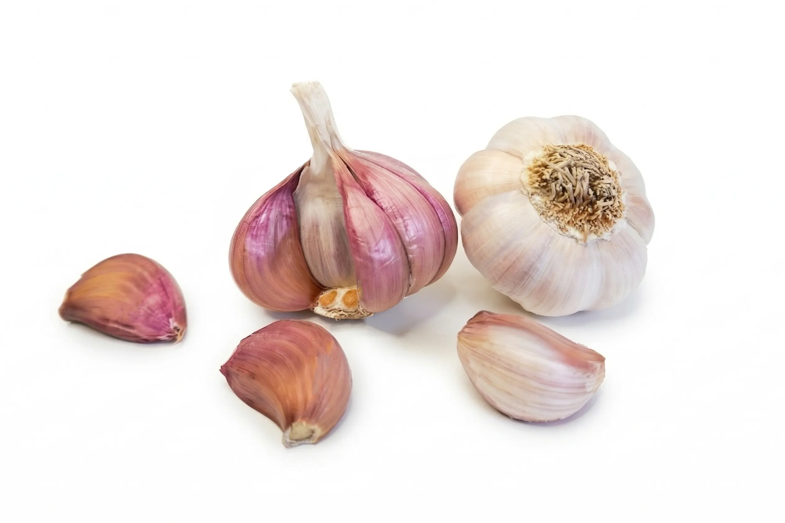 Aglio 6 aglio rosso - Aperto