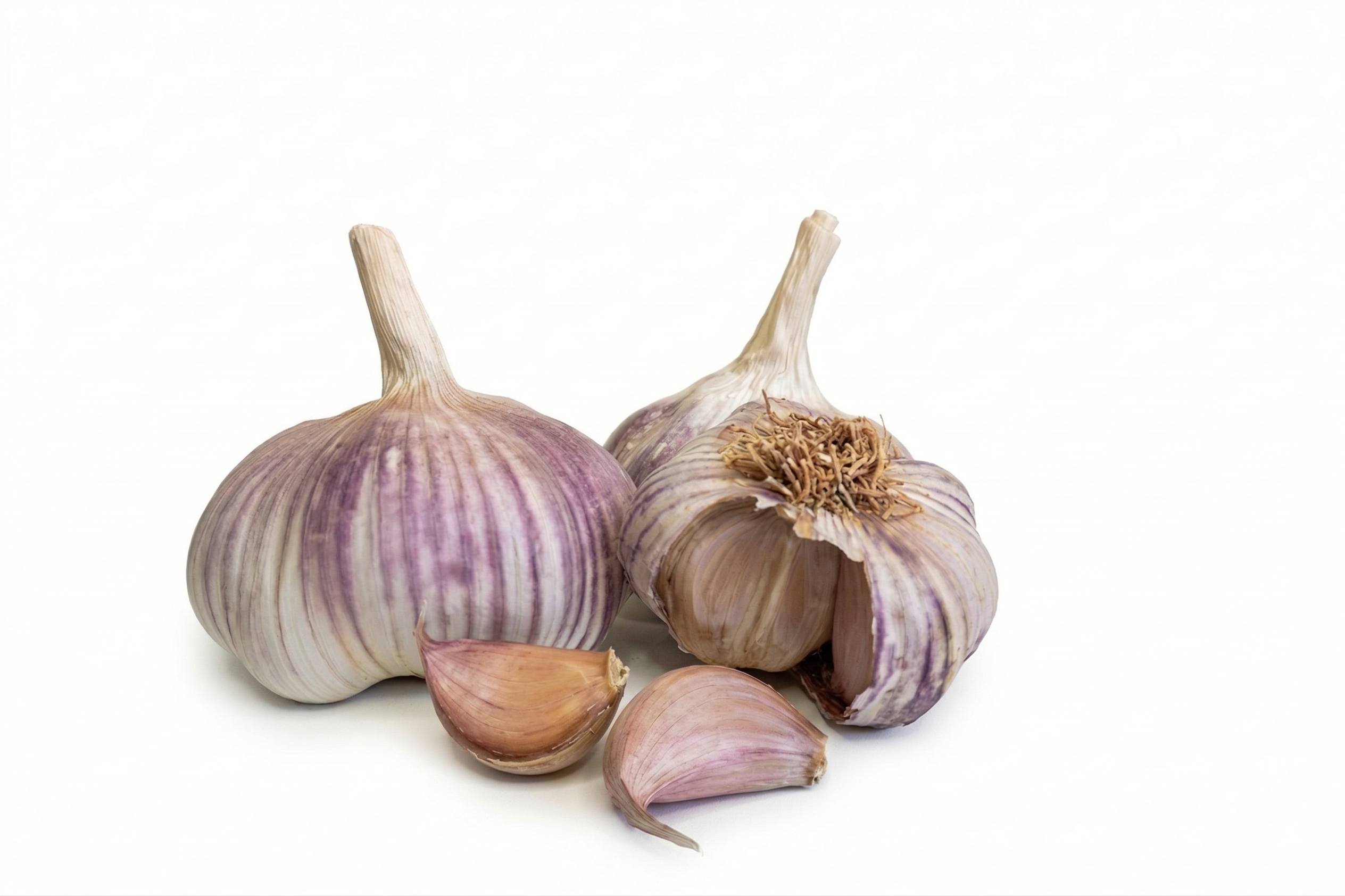 Aglio 12 aglio viola aperto
