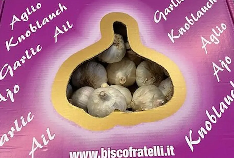 Aglio 10 IMG_4955-rotated 1 (1)